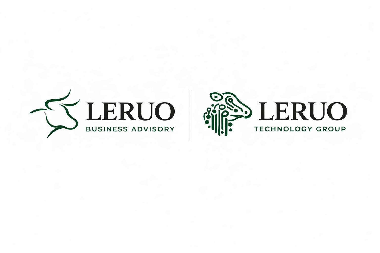 Leruo Business Advisory